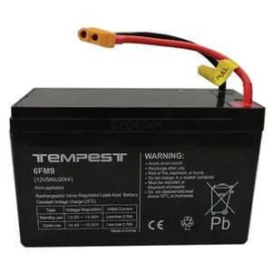 KIT Batterie (2 Stk.) BAT 300
